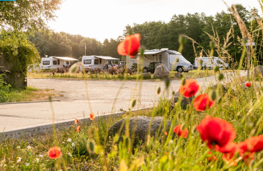 camp.Ostseequelle receives the EU Ecolabel - ECOCAMPS