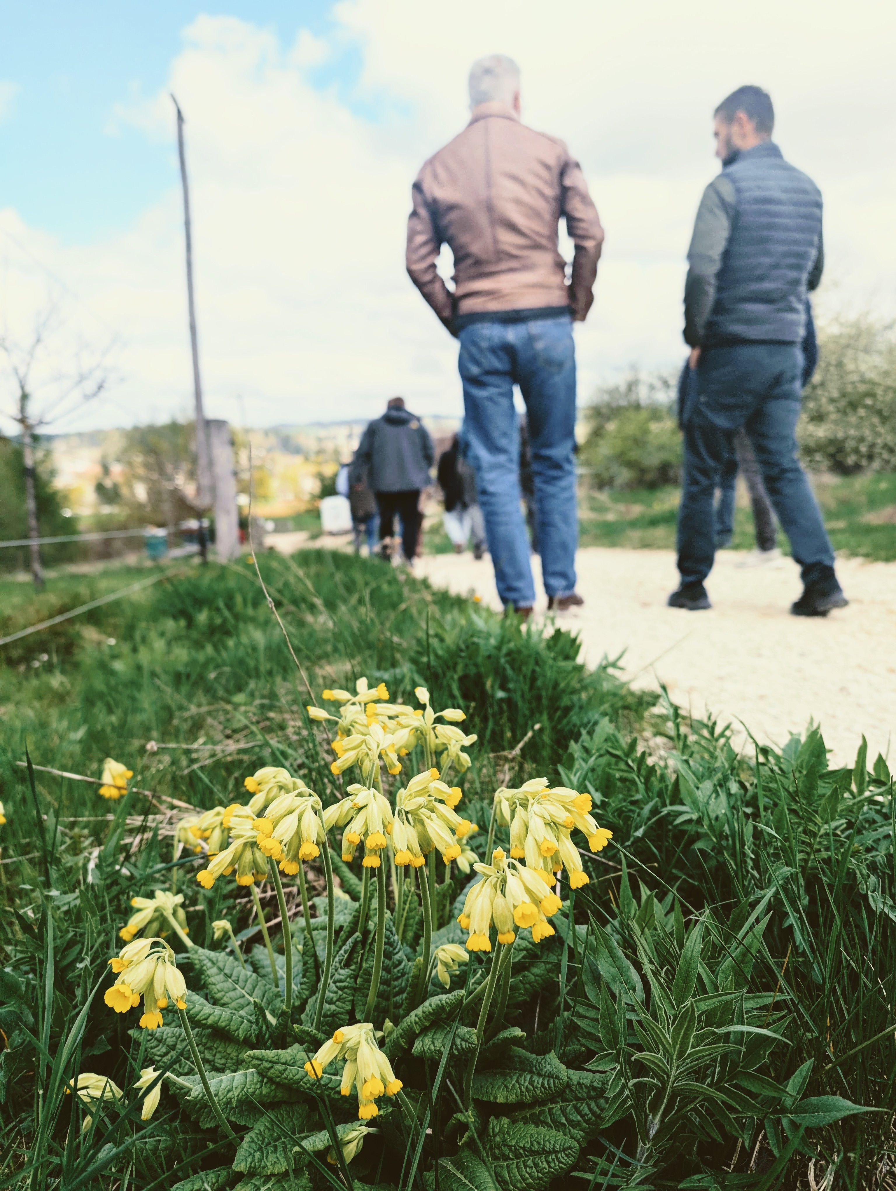 Inserisci qui la descrizione dell'immagine!