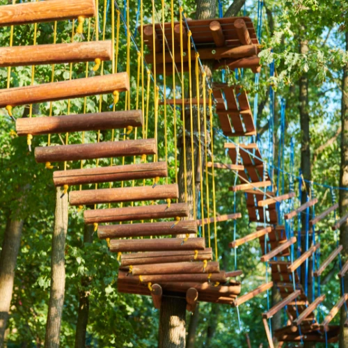 Beschreibung des Bildes