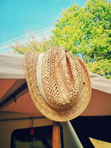 Tukaj vstavite opis slike!!!