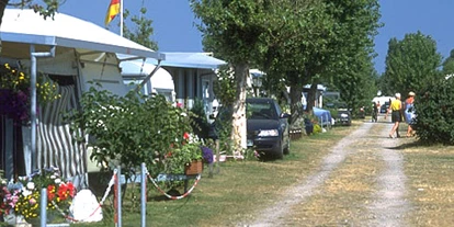 Campingplätze - Mobilität Verleih: Verleih von Bollerwagen - Dahme - Eurocamping Zedano - Eurocamping Zedano