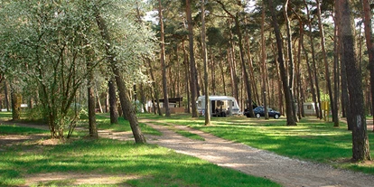 Campings - Lage: Am See - Boitzenburger Land - Camping am Oberuckersee - Camping am Oberuckersee