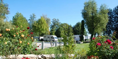 Campings - Weitere Serviceangebote: WLAN auf dem gesamten Platz verfügbar - Camping Busse am Möslepark - Busses Camping am Möslepark