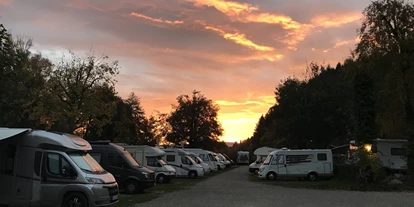 Campings - Hundefreundlichkeit: Hunde ganzjährig auf dem Platz erlaubt - Lenzkirch - Camping Busse am Möslepark - Busses Camping am Möslepark