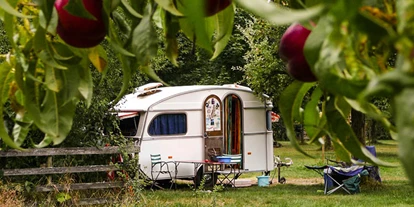 Campings - Mobilität Service : abschließbarer Fahrradunterstand - Camping Lindenhof - Camping Lindenhof