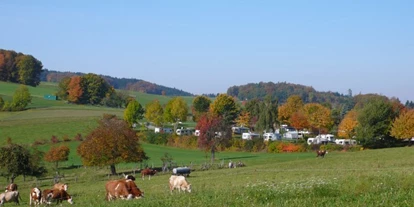 Campeggi - Ver- und Entstorgung für Wohnmobile: Entleerung von Wassertanks - Camping Park Hammelbach - Camping Park Hammelbach