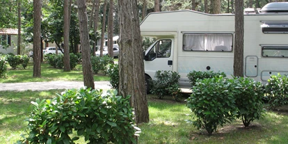 Campings - Freizeitangebote in der Nähe (<20km): Strand & Meer - Camping Sabbiadoro - Camping Sabbiadoro