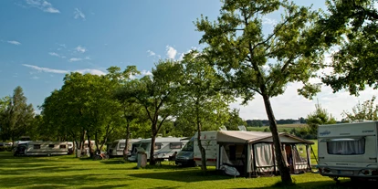 Campings - Freizeitangebote auf dem Platz: Naturerlebnisangebote - Campingidyll am Schwanenplatz - Camping Schwanenplatz