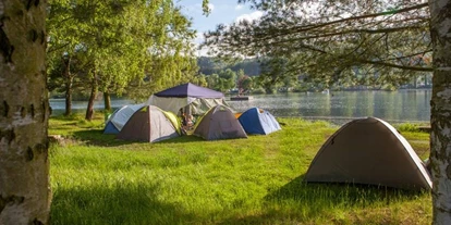 Campingplätze - Hundefreundlichkeit: separater Hundestrand - Vöhl - Camping- und Ferienpark Teichmann - Camping- und Ferienpark Teichmann
