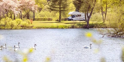 Campings - Weitere Serviceangebote: Grillen am Standplatz erlaubt - Sauerland - Camping- und Ferienpark Teichmann - Camping- und Ferienpark Teichmann