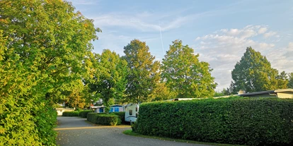 Campings - Weitere Serviceangebote: WLAN auf dem gesamten Platz verfügbar - Campingpark Breitenauer See - Campingpark Breitenauer See