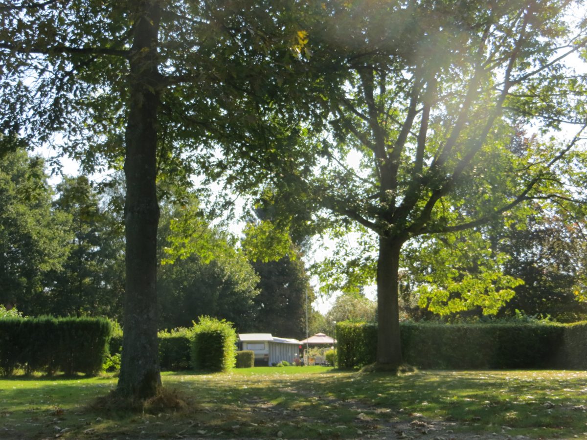 ECOCAMPS - Campingplatz Alte Löweninsel Mobilheimpark Aukamp - Campingplatz Alte Löweninsel Lauenbrück