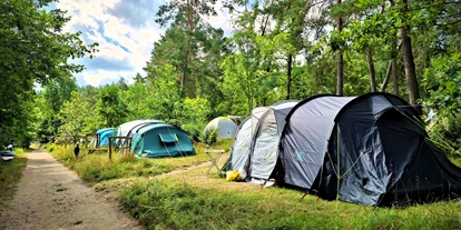 Campings - Hundefreundlichkeit: separater Hunde-Campingbereich - Priepert - Campingplatz Am Dreetzsee