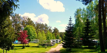 Campings - Sanitäreinrichtungen: Sanitärbereich für Kinder - Campingplatz Am Dreetzsee