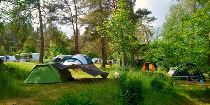 Campings - Lage: Am See - Campingplatz Am Dreetzsee