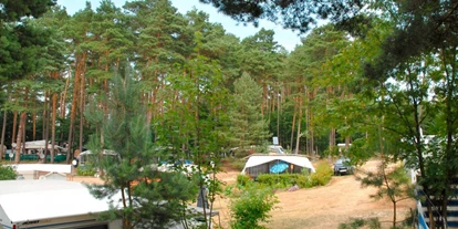 Campingplätze - Mecklenburg-Vorpommern - Campingplatz am Großen Pälitzsee - Campingplatz am Großen Pälitzsee