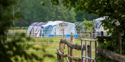 Campings - Hundefreundlichkeit: separater Hundestrand - Campingplatz Am Wiesengrund - Campingplatz Am Wiesengrund