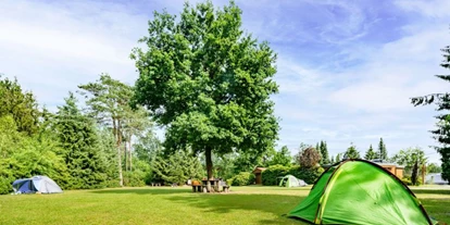 Campingplätze - Barrierefreiheit: barrierefreier Zugang zum Shop - Fallingbostel - Campingplatz Auf dem Simpel - Campingplatz Auf dem Simpel