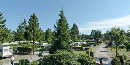 Campings - Mietunterkunft: Pod - Campingplatz Auf dem Simpel - Campingplatz Auf dem Simpel