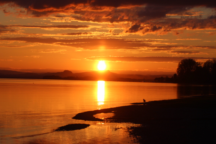 ECOCAMPS - Campingplatz Hegne - Campingplatz Hegne