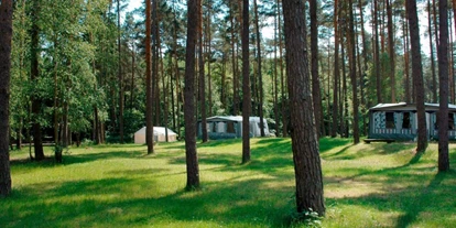 Campings - Freizeitangebote auf dem Platz: Bademöglichkeit - Priepert - FKK-Camping am Useriner See - FKK-Camping am Useriner See