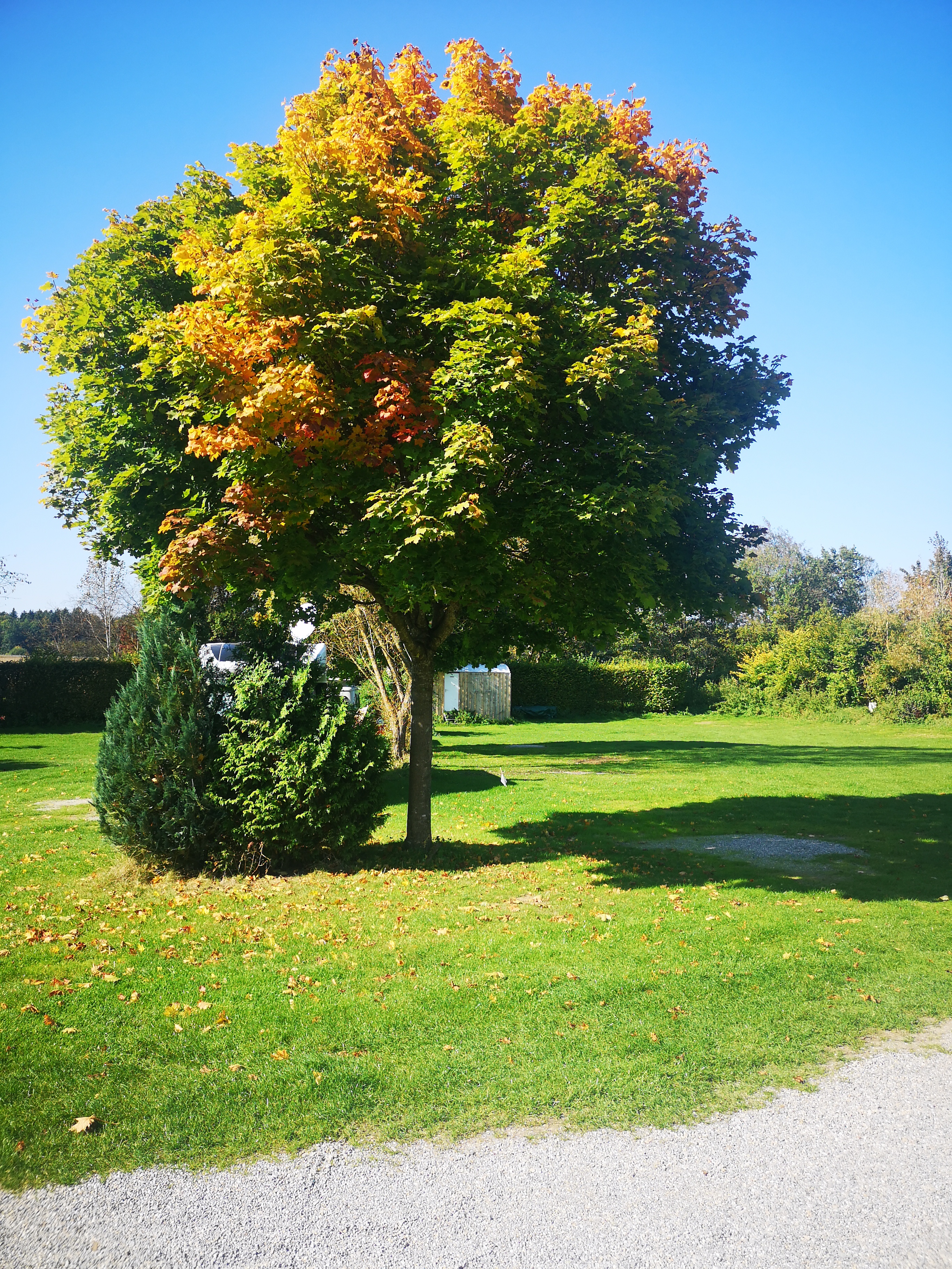 ECOCAMPS - Gern Campinghof Salem