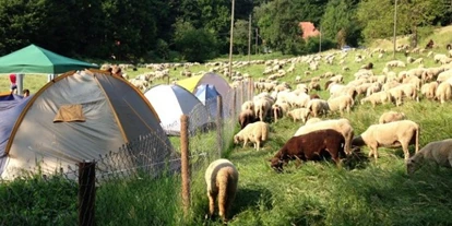 Campings - Mietunterkunft: Blockhaus / Hütte - Lenzkirch - Hirzberg-Camping - Hirzberg-Camping