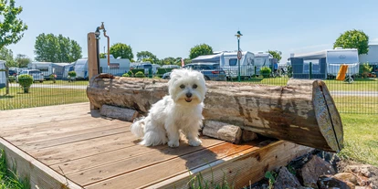 Campings - Hundefreundlichkeit: Hunde ganzjährig auf dem Platz erlaubt - Insel-Camp Fehmarn - Insel-Camp Fehmarn