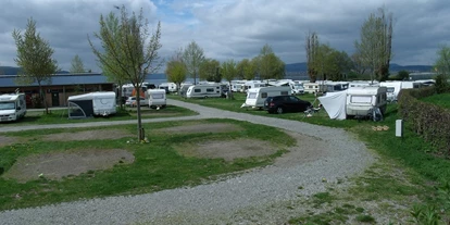 Campings - Hundefreundlichkeit: Hunde nicht erlaubt - Insel-Camping-Platz Sandseele - Insel-Camping-Platz Sandseele