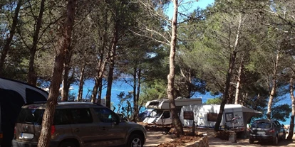 Campingplätze - Freizeitangebote auf dem Platz: Freibad - Punta Kriza - Kamp Kovačine - Kamp Kovačine