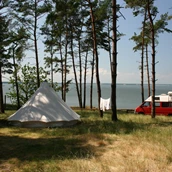 ECOCAMPS - Stellplätze für Zelte mit Blick auf die Krumminer Wiek - Natur Camping Usedom
