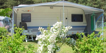 Campings - Mietunterkunft: Bungalow - Stellplätze auf unserer Sonnenwiese - Natur Camping Usedom