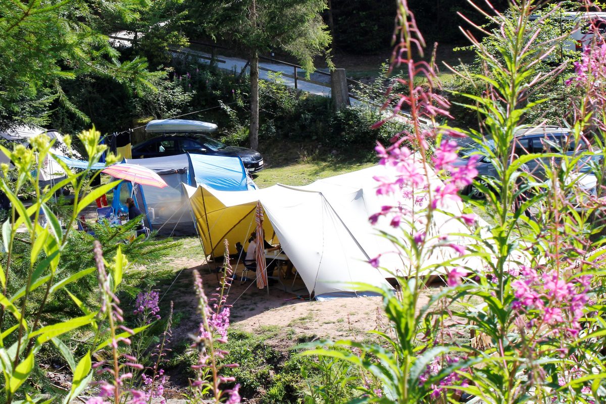 Campingplätze: Natur-Camping Langenwald - Natur-Camping Langenwald