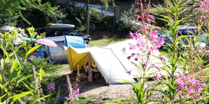 Campings - Weitere Serviceangebote: Buchung von Mietobjekten online möglich - Alpirsbach - Natur-Camping Langenwald - Natur-Camping Langenwald