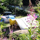 Campingplätze: Natur-Camping Langenwald - Natur-Camping Langenwald