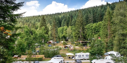 Campings - Hundefreundlichkeit: Hunde ganzjährig auf dem Platz erlaubt - Natur-Camping Langenwald - Natur-Camping Langenwald