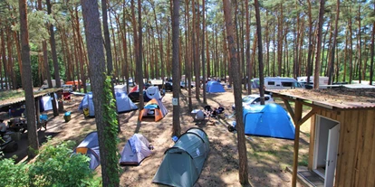 Campings - Mietunterkunft: Bungalow - Naturcampingplatz am Springsee - Naturcampingplatz am Springsee
