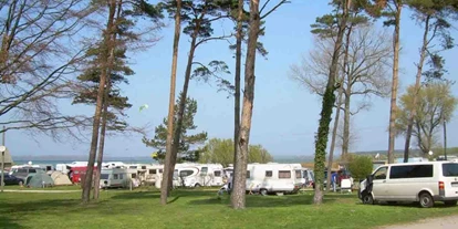 Campings - Weitere Serviceangebote: WLAN in bestimmten Platzbereichen verfügbar - Grube - Ostseecamping Am Salzhaff - Ostseecamping Am Salzhaff