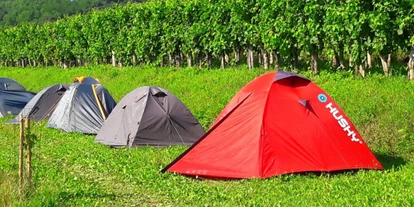 Campings - Lage: Am Feld - Bohinjska Bistrica - Saksida Wine & Camping Resort, Camping Saksida - Saksida Wine & Camping Resort, Camping Saksida