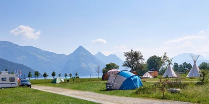 Campingplätze - Hundefreundlichkeit: Hunde ganzjährig auf dem Platz erlaubt - Sempach - TCS Camping Buochs Vierwaldstättersee - TCS Camping Buochs Vierwaldstättersee