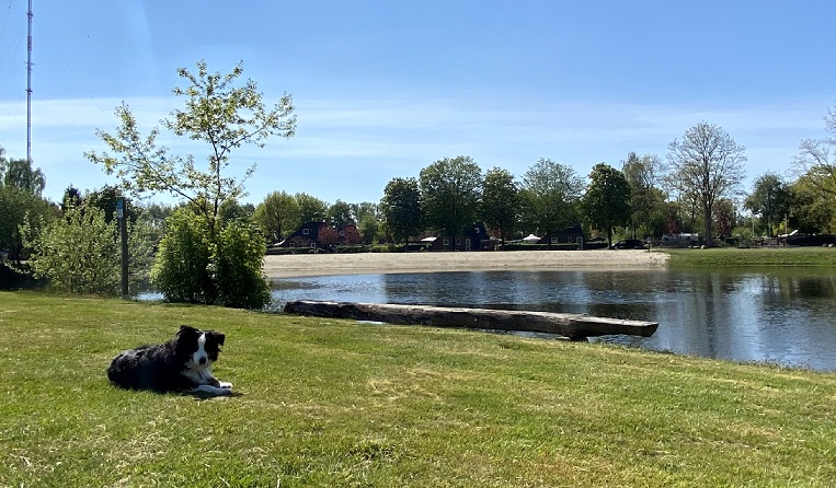 Campingplätze - Freizeitangebote in der Nähe (<20km): Fahrradtouren - Emsland, Mittelweser ... - Camping & Ferienpark Falkensteinsee - Camping & Ferienpark Falkensteinsee