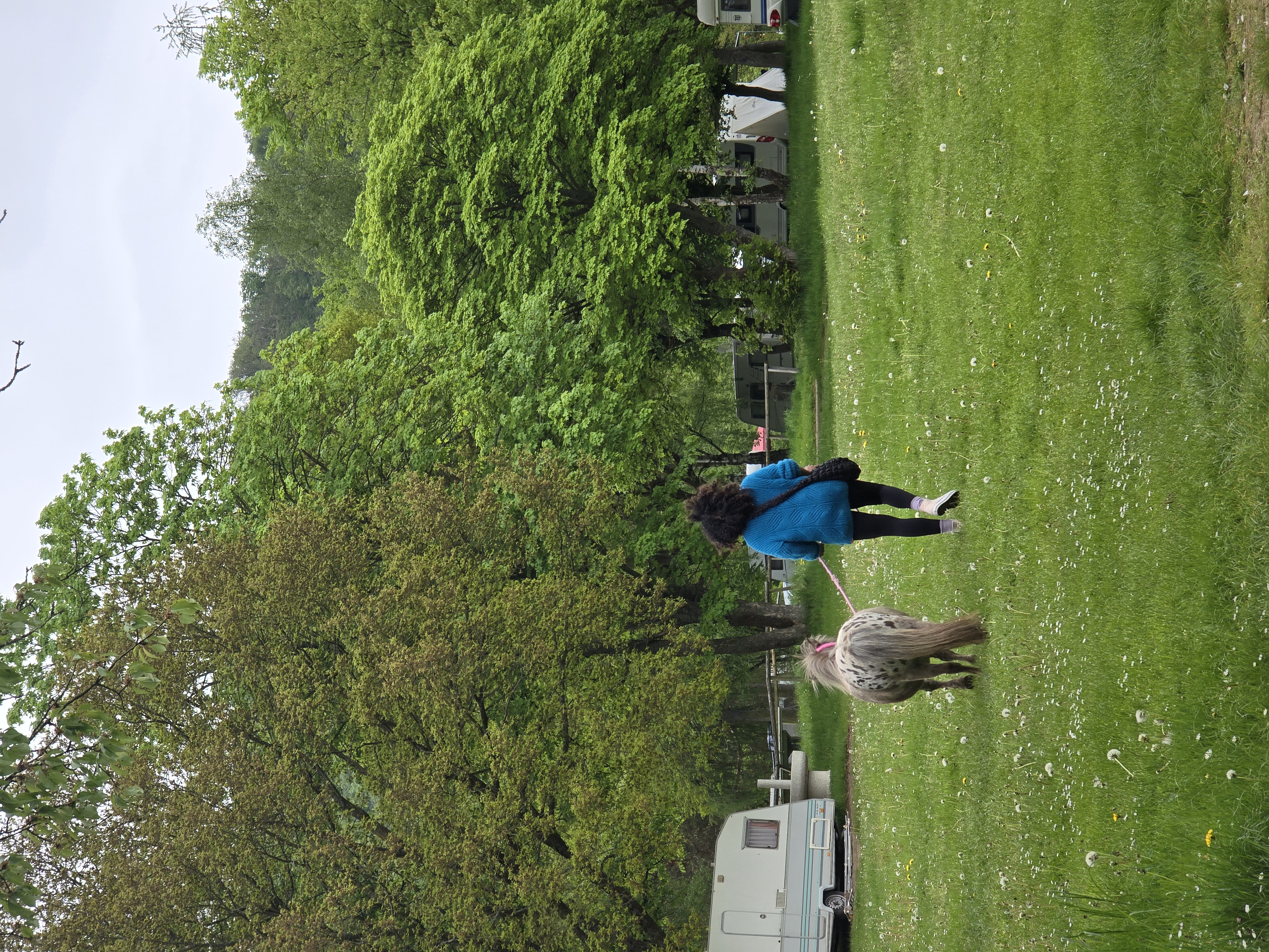 ECOCAMPS: Spaziergang mit Persis das neugierige Hofpony - Camping Edersee Paradies