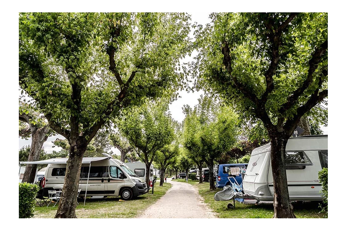 ECOCAMPS: Camping la Quercia - Camping la Quercia