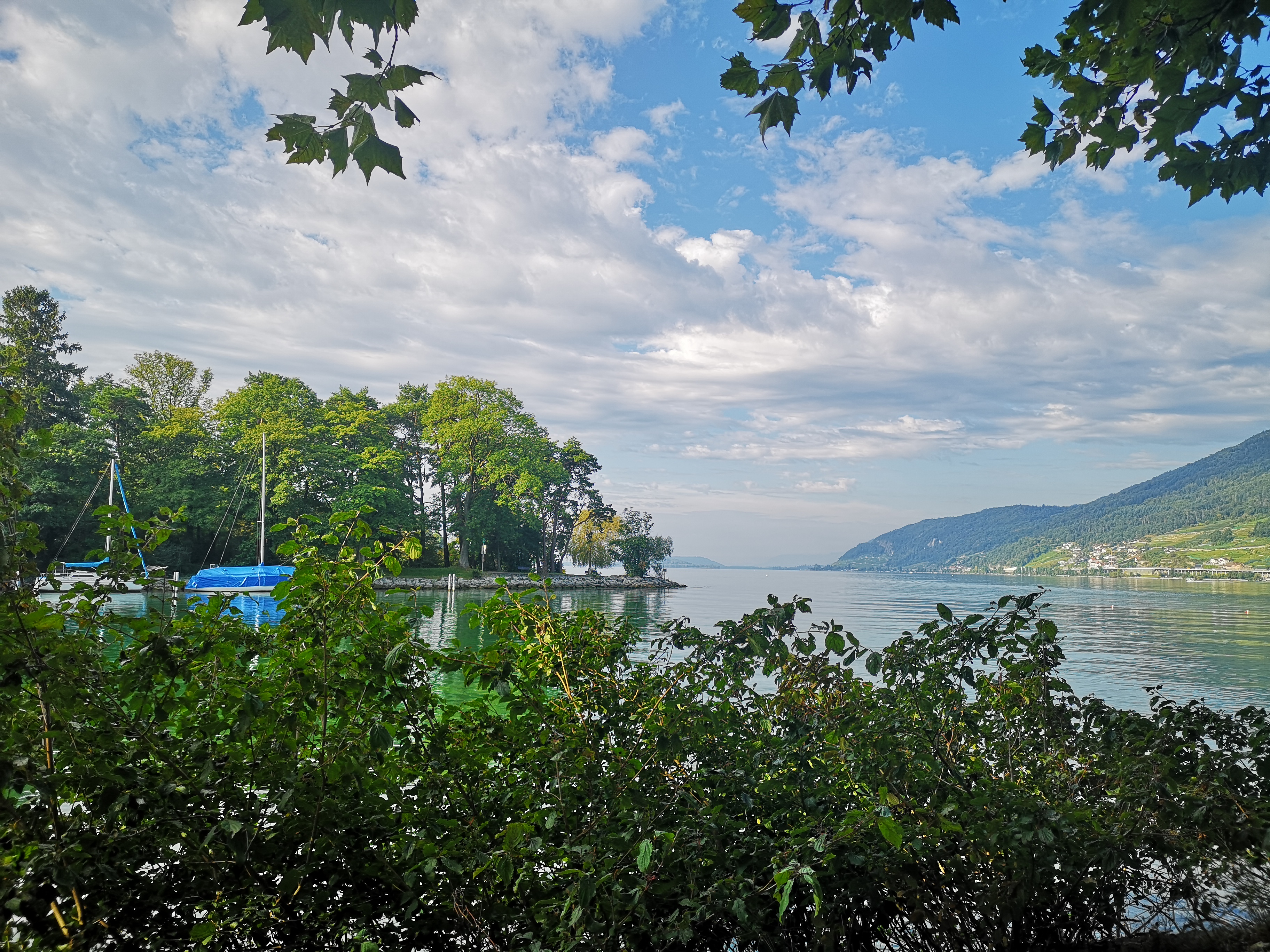 ECOCAMPS: Camping Lindenhof. Bieler See - Camping Lindenhof