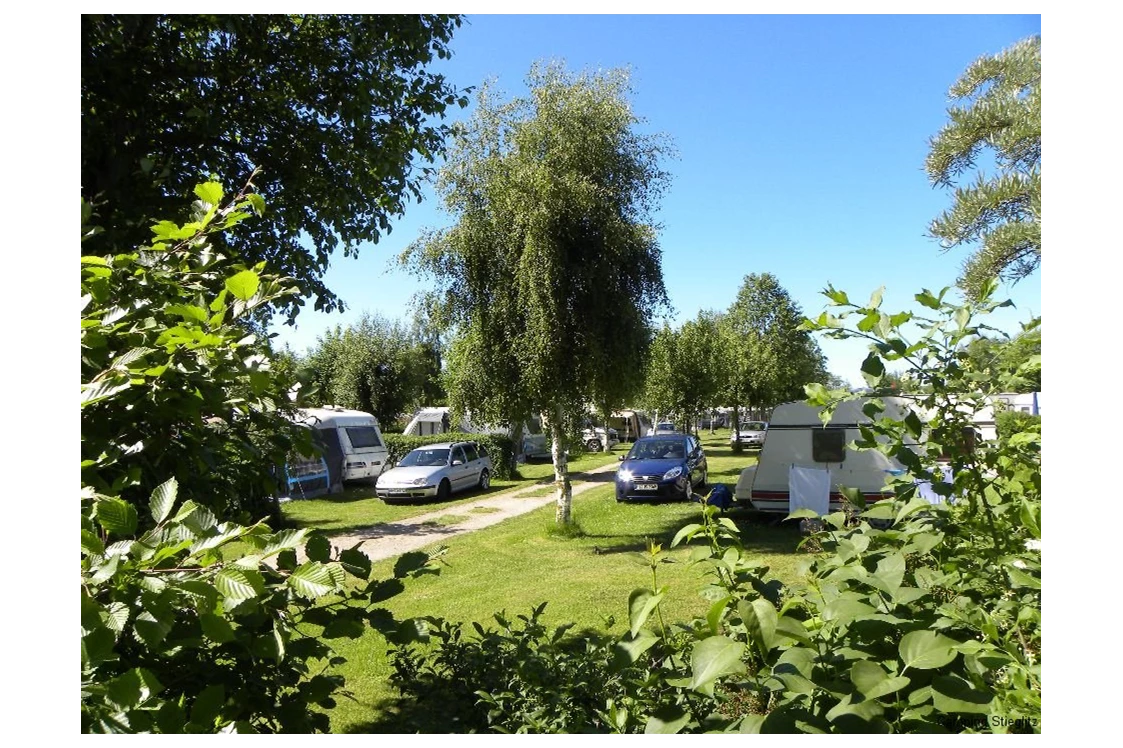 ECOCAMPS: Camping Stieglitz - Camping Stieglitz