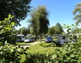 ECOCAMPS: Camping Stieglitz - Camping Stieglitz