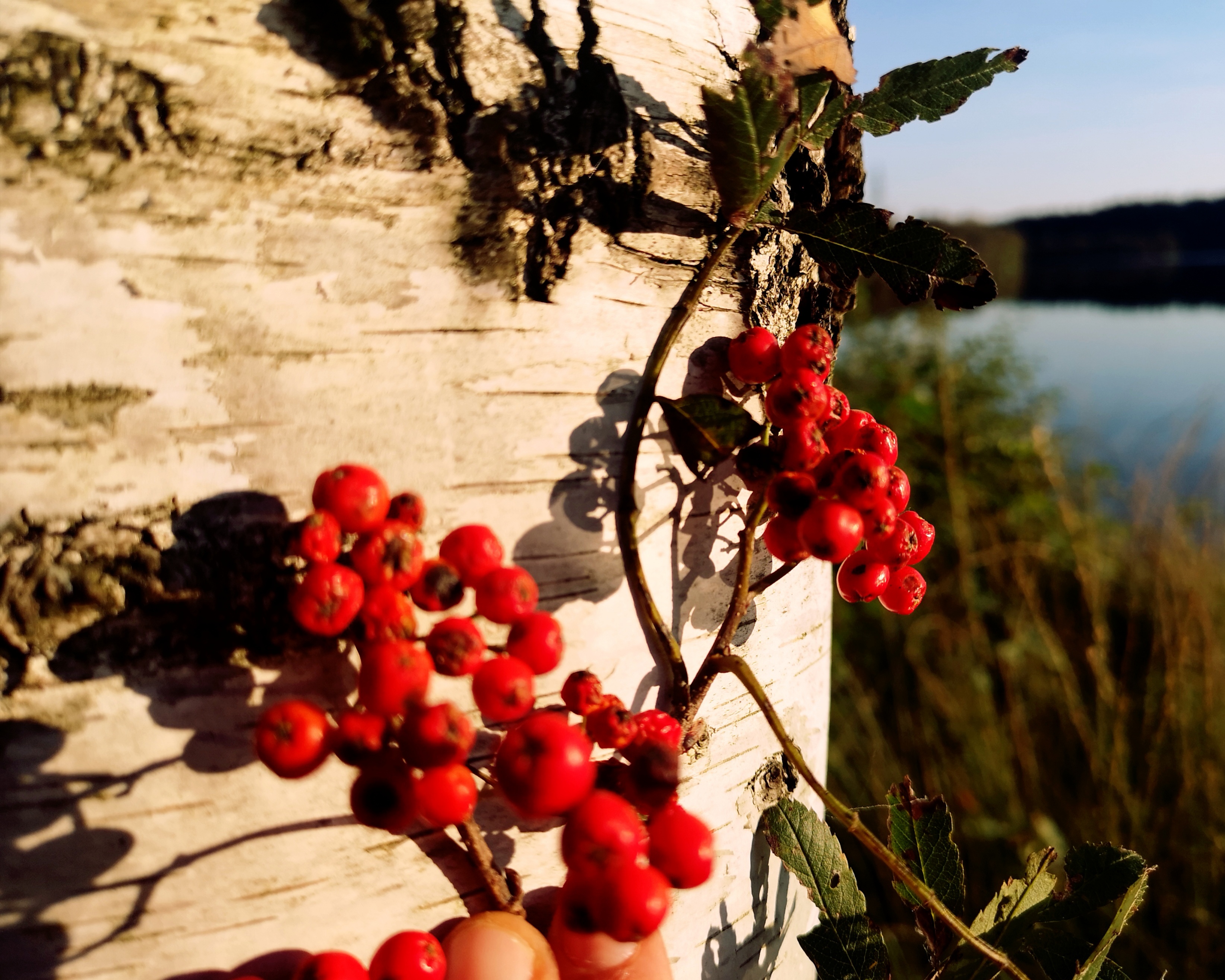 ECOCAMPS: Camping un d Bungalowpark Ottermeer - Camping- und Bungalowpark Ottermeer