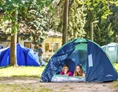 ECOCAMPS: Camping Waldsee - Camping Waldsee