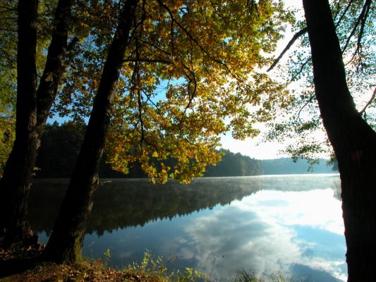 Kampovi - Bayerischer Wald - See Camping Weichselbrunn - See Camping Weichselbrunn