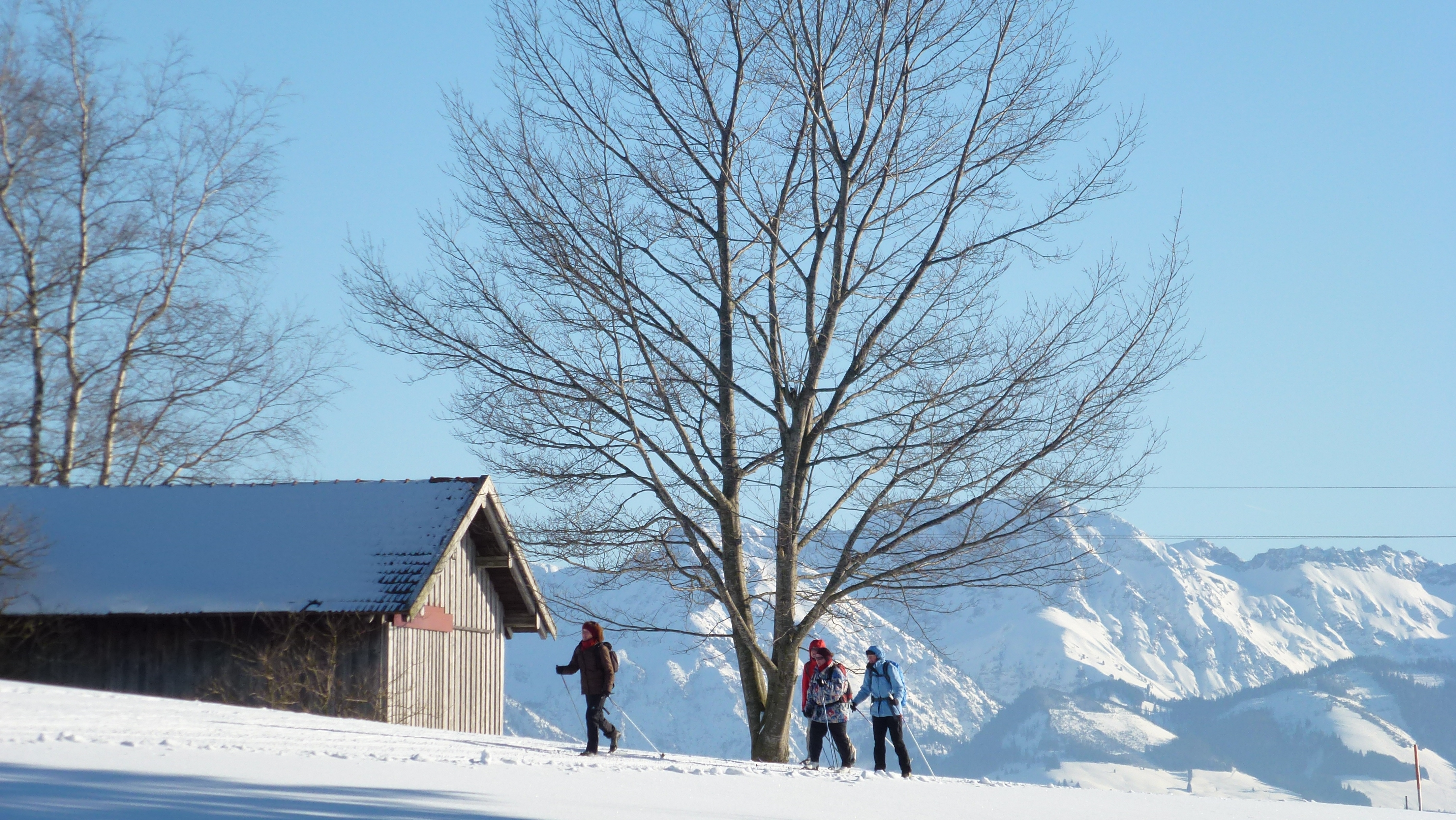 ECOCAMPS: Im Allgäu finden Sie ein großes Loipennetz, auch an unserem Campingplatz gehen die Loipen direkt vorbei.  - Camping Zeh am See